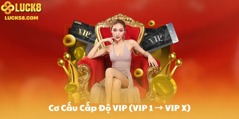 Cơ Cấu Cấp Độ VIP (VIP 1 → VIP X)